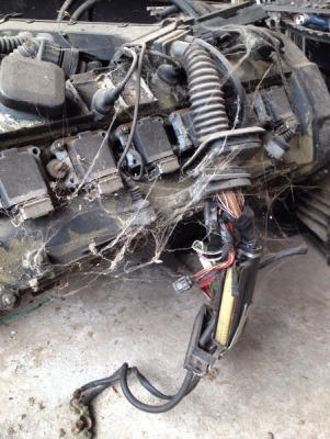 รถเก๋ง ยี่ห้อ BMW รุ่น 525/24V