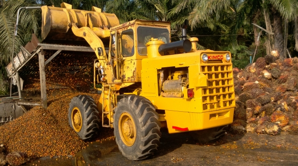 ขายรถตัก KOMATSU รุ่น JH 65 V8 รถนอกแท้ มีใบนำเข้าสภาพพร้อมใช้งาน เช็คเครื่องใหม่หมด เกียร์ดี เครื่องแน่น ปั๊มเร็ว ติดต่อ ทวีเดช 081-970-1769