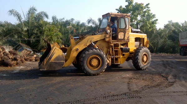 ขายรถตัก KOMATSU รุ่น JH 65 V8 รถนอกแท้ มีใบนำเข้าสภาพพร้อมใช้งาน เช็คเครื่องใหม่หมด เกียร์ดี เครื่องแน่น ปั๊มเร็ว ติดต่อ ทวีเดช 081-970-1769