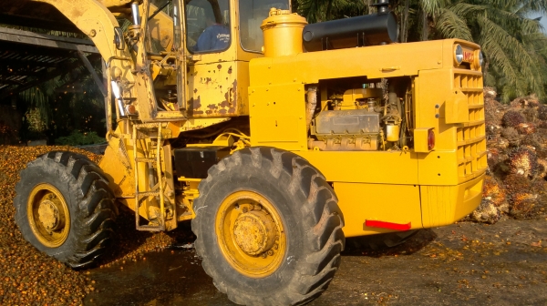 ขายรถตัก KOMATSU รุ่น JH 65 V8 รถนอกแท้ มีใบนำเข้าสภาพพร้อมใช้งาน เช็คเครื่องใหม่หมด เกียร์ดี เครื่องแน่น ปั๊มเร็ว ติดต่อ ทวีเดช 081-970-1769