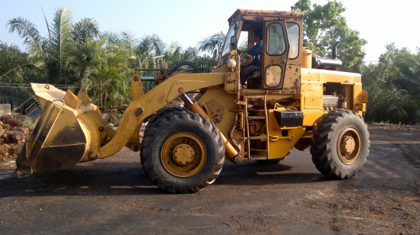 ขายรถตัก KOMATSU รุ่น JH 65 V8 รถนอกแท้ มีใบนำเข้าสภาพพร้อมใช้งาน เช็คเครื่องใหม่หมด เกียร์ดี เครื่องแน่น ปั๊มเร็ว ติดต่อ ทวีเดช 081-970-1769