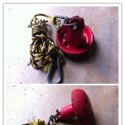 สมอเรือยาง