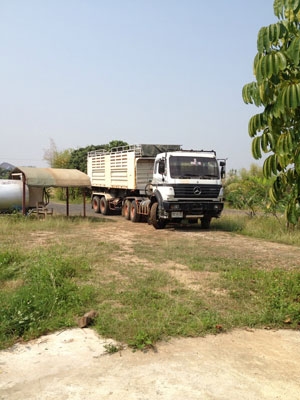 ขายรถเบ้นซ์ Benz บรรทุกหนัก รุ่น 2631 พร้อมหางดั้ม 8 เมตร