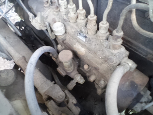 ขายไอ้ต้า หัวยาว 122990 บาท ลดเหลือ 115000 บาท ลดอีกแล้วถ้าเอาด่วนต้องการเงินใช้เหลือ 110000