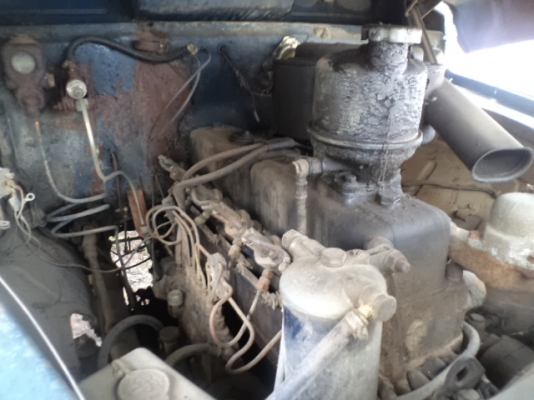 ขายไอ้ต้า หัวยาว 122990 บาท ลดเหลือ 115000 บาท ลดอีกแล้วถ้าเอาด่วนต้องการเงินใช้เหลือ 110000