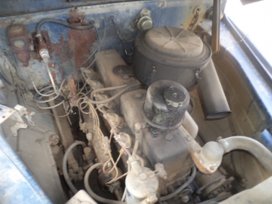 ขายไอ้ต้า หัวยาว 122990 บาท ลดเหลือ 115000 บาท ลดอีกแล้วถ้าเอาด่วนต้องการเงินใช้เหลือ 110000