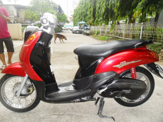 ขายฟีโน่ 15500 บาท