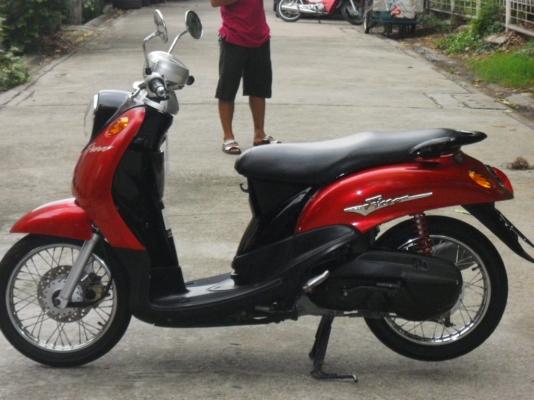 ขายฟีโน่ 15500 บาท