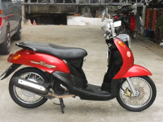 ขายฟีโน่ 15500 บาท