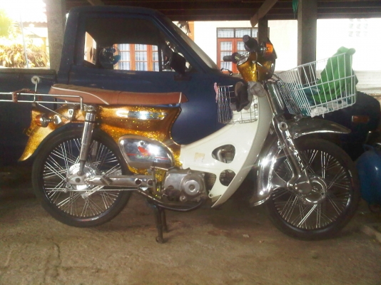 ขาย hondo c70 ด่วนๆ ถูกๆ