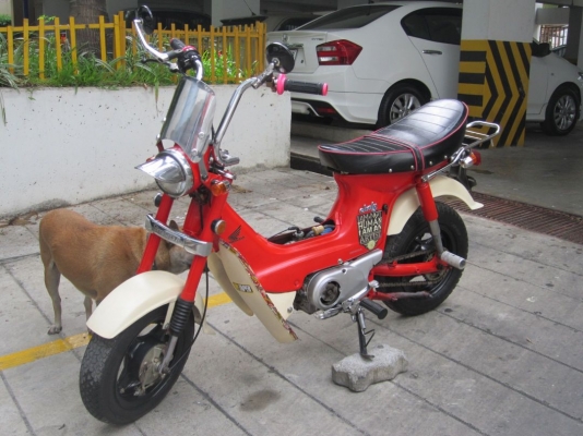 ขายด่วนๆ ! Chaly=> ชาลีไฟบนแท้ๆ แต่งครบสวยไม่อายใคร เครื่องเดิม+cdi วิ่งมันส์ ช้าอดชัวร์ กทม.