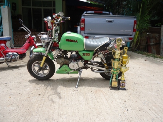 ขายกอลิล่า ญี่ปุ่น สภาพประกวด ราคา 36000 ต่อลองได้ ด่วน