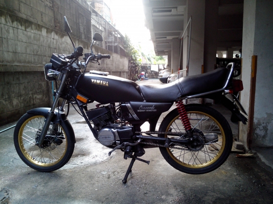 ขาย yamaha concord