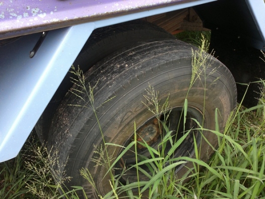 ขาย6ล้อIZUSU NPR120 เดิมบาง