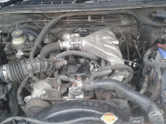 ขายดีแม็กหัวเดียว ตู้แห้งทึบ พร้อมใช้งานราคามังกร165000งดต่อคับ