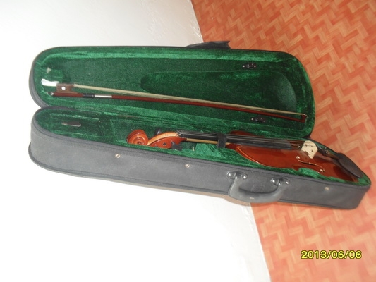 ขายไวโอลิน