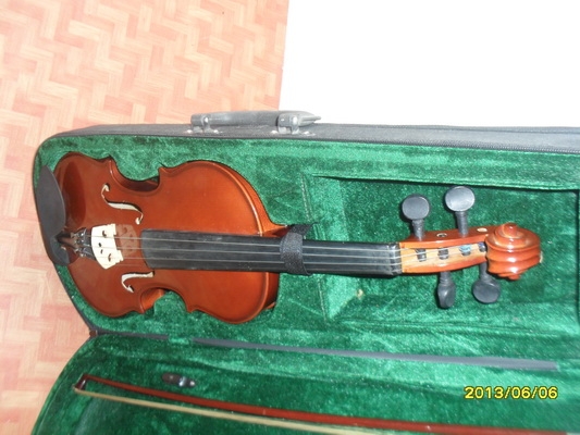 ขายไวโอลิน