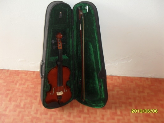 ขายไวโอลิน