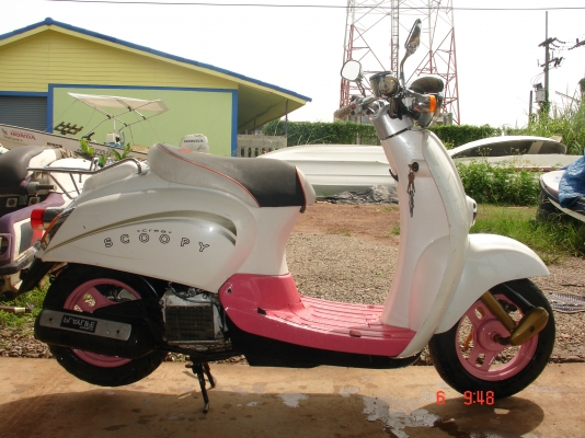 ขาย Honda scoopy crea 50 cc ขาย Honda scoopy crea 50 cc