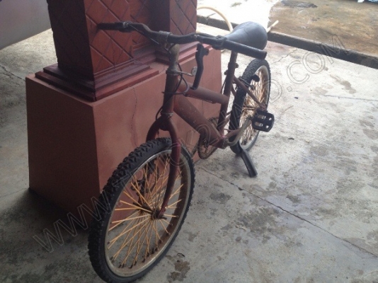 รถจักรยาน 5 คัน (ขายรวม 5 คัน ราคา 2,500 บาท) รถจักรยาน 5 คัน (ขายรวม 5 คัน ราคา 2,500 บาท)