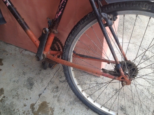 รถจักรยาน 5 คัน (ขายรวม 5 คัน ราคา 2,500 บาท) รถจักรยาน 5 คัน (ขายรวม 5 คัน ราคา 2,500 บาท)