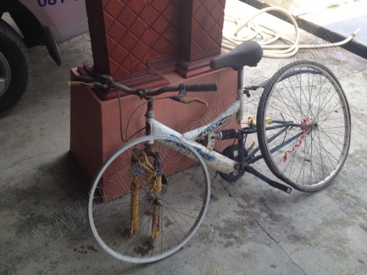 รถจักรยาน 5 คัน (ขายรวม 5 คัน ราคา 2,500 บาท) รถจักรยาน 5 คัน (ขายรวม 5 คัน ราคา 2,500 บาท)