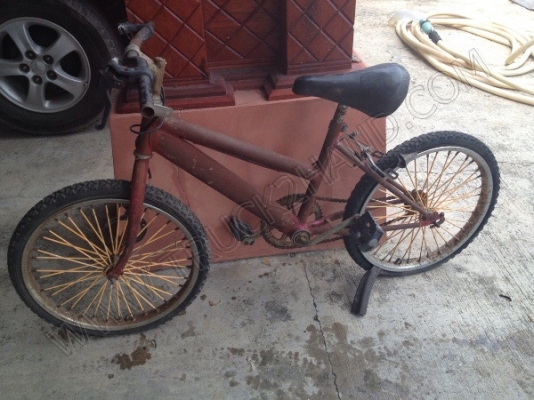 รถจักรยาน 5 คัน (ขายรวม 5 คัน ราคา 2,500 บาท) รถจักรยาน 5 คัน (ขายรวม 5 คัน ราคา 2,500 บาท)