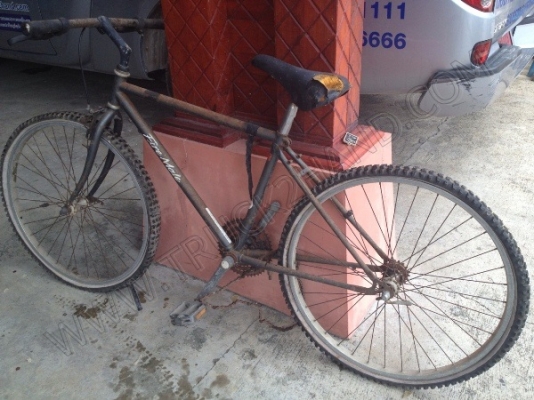 รถจักรยาน 5 คัน (ขายรวม 5 คัน ราคา 2,500 บาท) รถจักรยาน 5 คัน (ขายรวม 5 คัน ราคา 2,500 บาท)