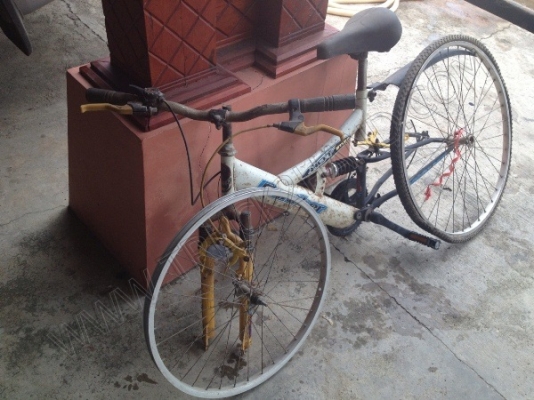 รถจักรยาน 5 คัน (ขายรวม 5 คัน ราคา 2,500 บาท) รถจักรยาน 5 คัน (ขายรวม 5 คัน ราคา 2,500 บาท)