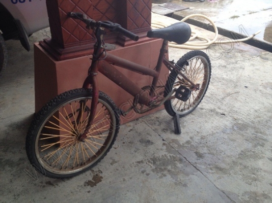 รถจักรยาน 5 คัน (ขายรวม 5 คัน ราคา 2,500 บาท) รถจักรยาน 5 คัน (ขายรวม 5 คัน ราคา 2,500 บาท)