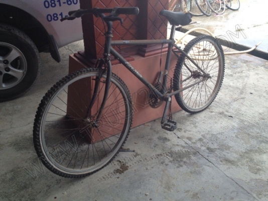รถจักรยาน 5 คัน (ขายรวม 5 คัน ราคา 2,500 บาท) รถจักรยาน 5 คัน (ขายรวม 5 คัน ราคา 2,500 บาท)