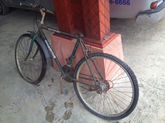 รถจักรยาน 5 คัน (ขายรวม 5 คัน ราคา 2,500 บาท) รถจักรยาน 5 คัน (ขายรวม 5 คัน ราคา 2,500 บาท)