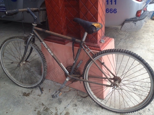 รถจักรยาน 5 คัน (ขายรวม 5 คัน ราคา 2,500 บาท) รถจักรยาน 5 คัน (ขายรวม 5 คัน ราคา 2,500 บาท)