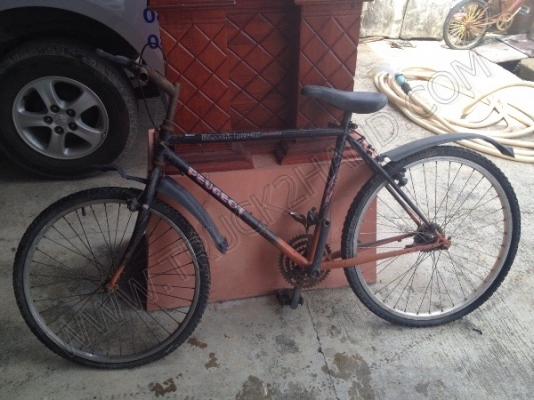 รถจักรยาน 5 คัน (ขายรวม 5 คัน ราคา 2,500 บาท) รถจักรยาน 5 คัน (ขายรวม 5 คัน ราคา 2,500 บาท)