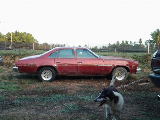 ขาย chevrolet 1973 ขาย chevrolet 1973