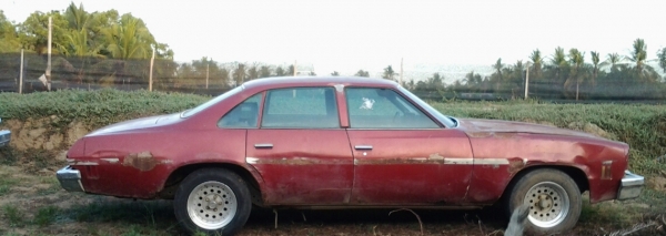 ขาย chevrolet 1973 ขาย chevrolet 1973