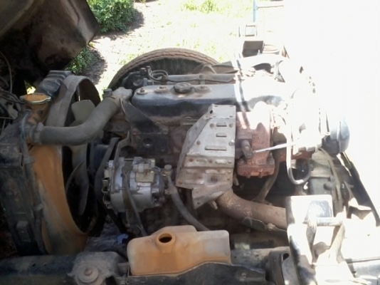 มาแล้วรถดั้มเกษตร ISUZU115Hp ลายสวยๆ