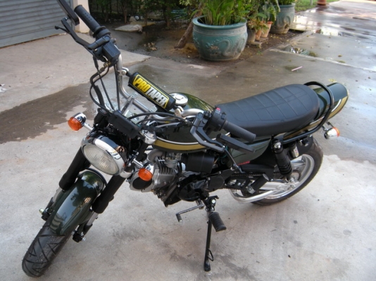 Big Bull Kingkong Z1