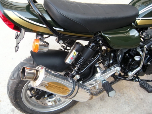 Big Bull Kingkong Z1