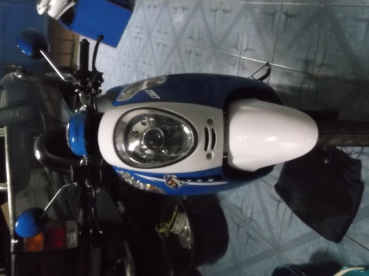 ขายฮอนด้าสกู๊ปปี้ไอ ปี2012-2013 สีน้ำเงิน ขาว