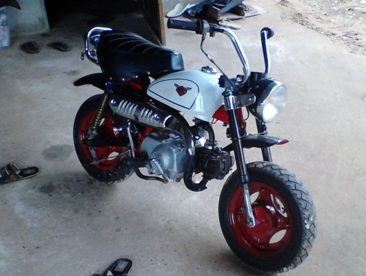 -ขายด่วน มังกี้โครงยุ่นแท้ สภาพใช้งานได้ดี สนใจสบถามที่ 082-1418401 -ขายด่วน มังกี้โครงยุ่นแท้ สภาพใช้งานได้ดี สนใจสบถามที่ 082-1418401