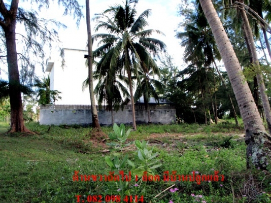 ขายด่วน! ที่ดินใกล้ทะเล ตรงข้ามเกาะทะลุ (หาดส่วนตัว โครงการหาดในฝัน)