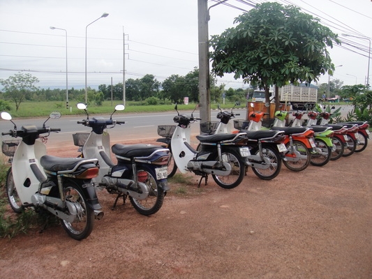 ขายฮอนด้าดรีม คุรุสภา สภาพเดิมๆๆ พร้อมใช้งาน (ทะเบียนพร้อมชุดโอน ) ขายฮอนด้าดรีม คุรุสภา สภาพเดิมๆๆ พร้อมใช้งาน (ทะเบียนพร้อมชุดโอน )