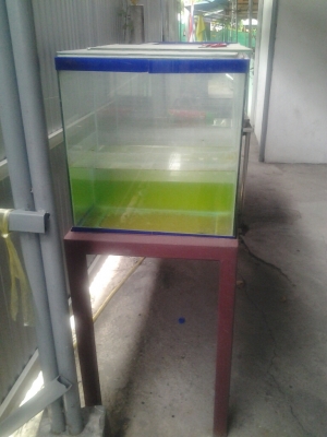 ตู้60นิ้วพร้อมขาตั้ง1500