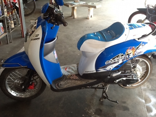 Honda scoopy I