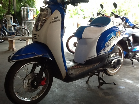 Honda scoopy I