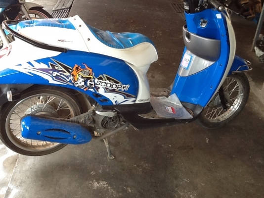 Honda scoopy I
