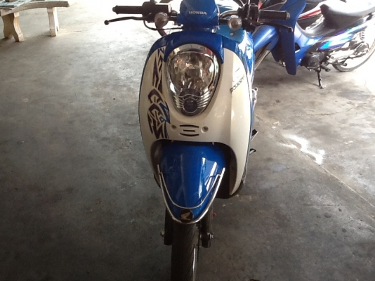 Honda scoopy I