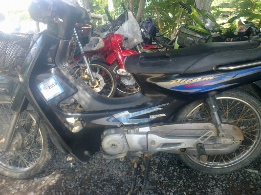 ลุงทุม หัวเขา   ติดต่อ 086  764   5698