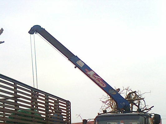 ขายเครน 340v  รุ่นใหม่ล่าสุด